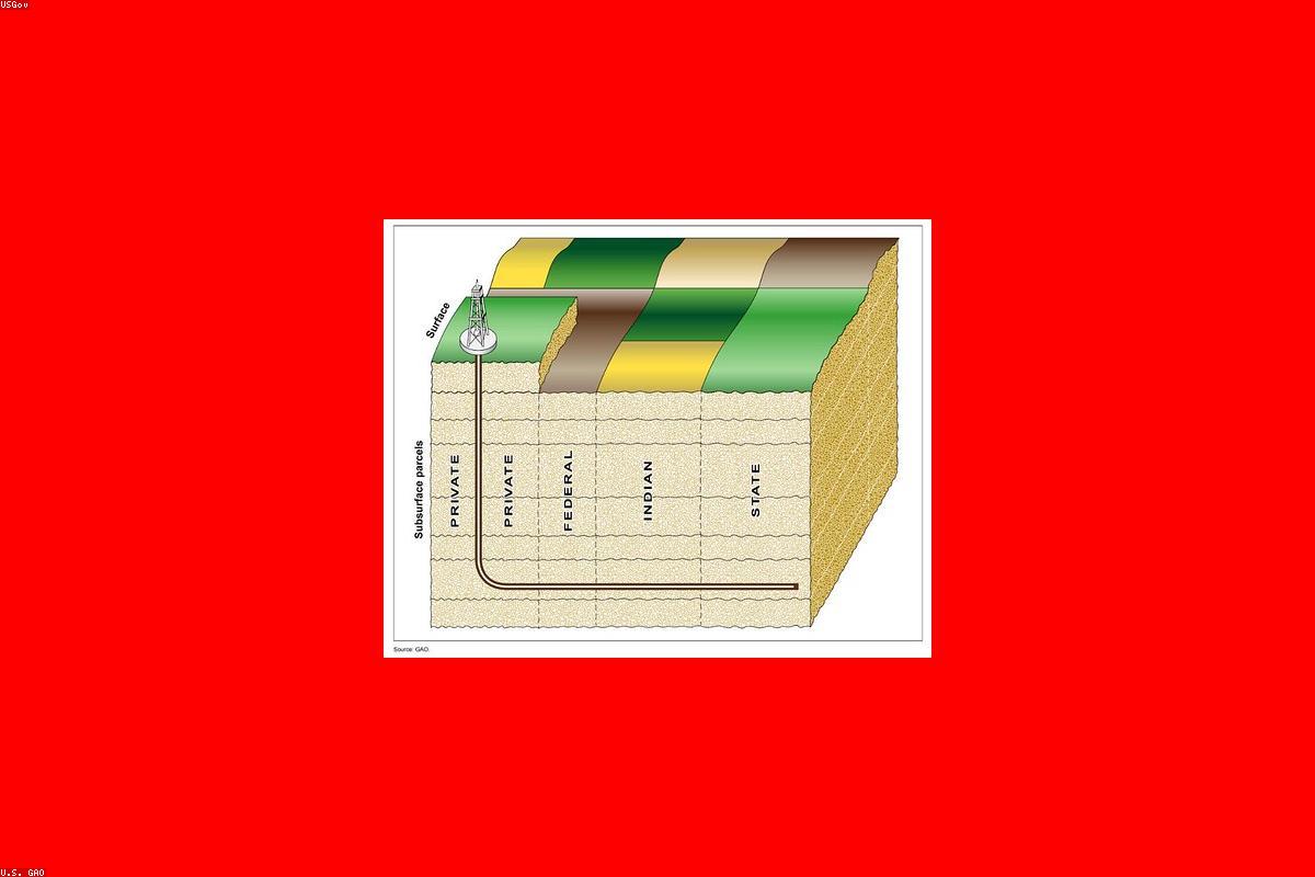 Inspection audit representing plugin review