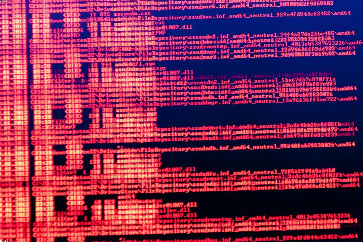 Developer terminal coding screen interface